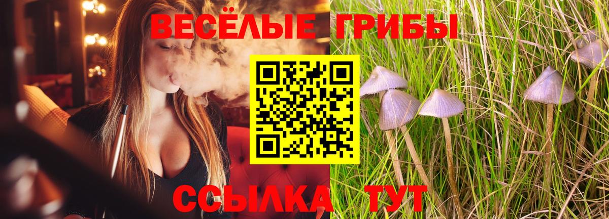 Галлюциногенные грибы Psilocybine cubensis  Вход с VPN  Псилоцибиновые грибы ЛСД  где найти   Горно-Алтайск 